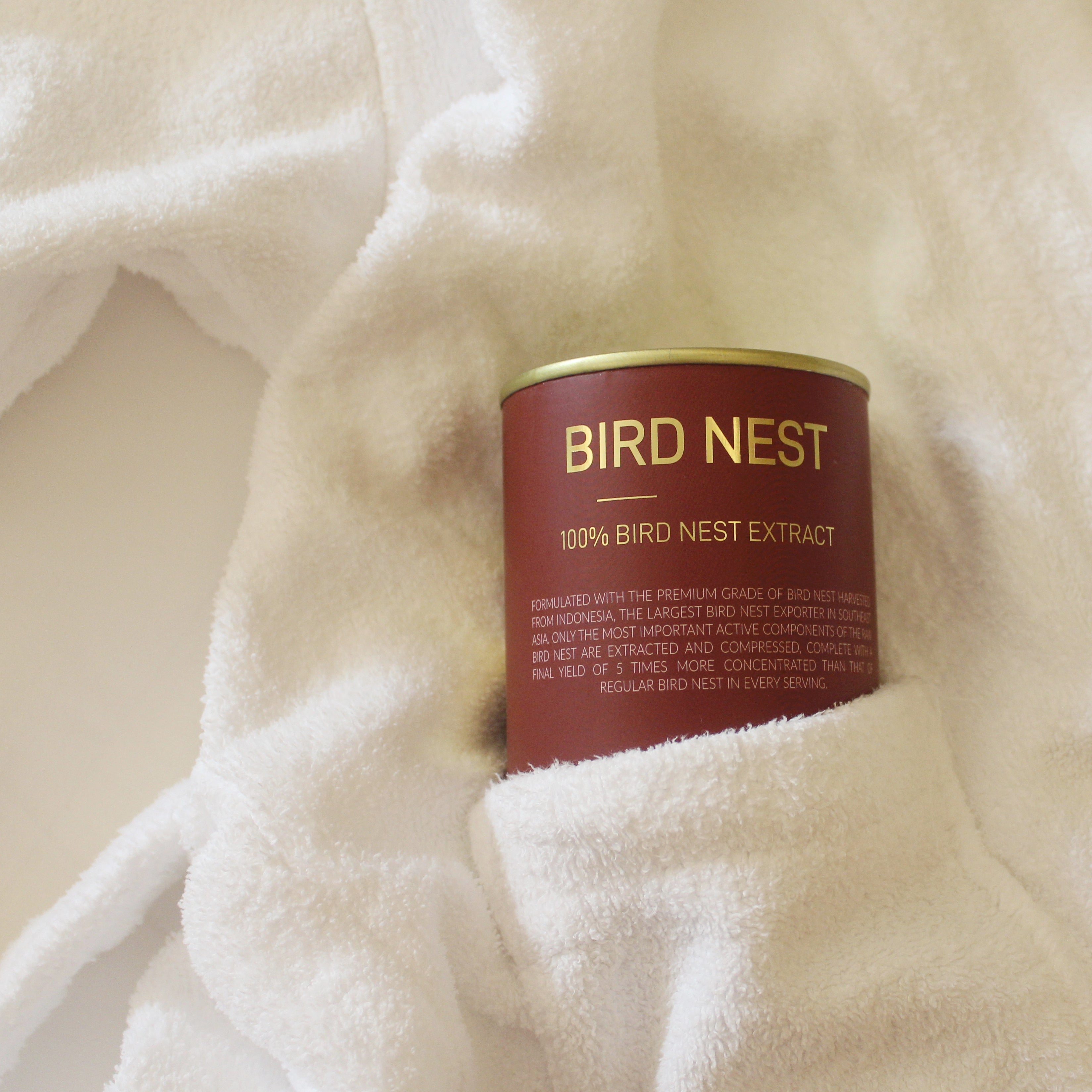 Project B Bird Nest